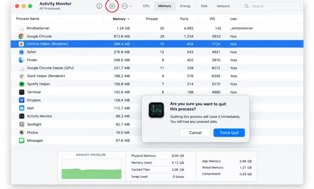Activity Monitor showing selected app with Stop button highlighted and Force Quit confirmation dialog on macOS
