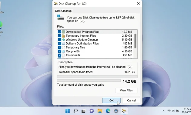 Windows Disk Cleanup dialog displaying temporary files, recycle bin, and cache data totaling 8.67 GB available for deletion to free up disk space


