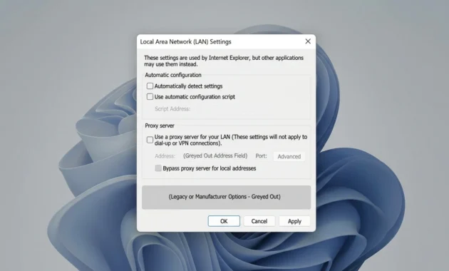 Windows LAN settings dialog with proxy server checkbox unchecked to fix no internet access