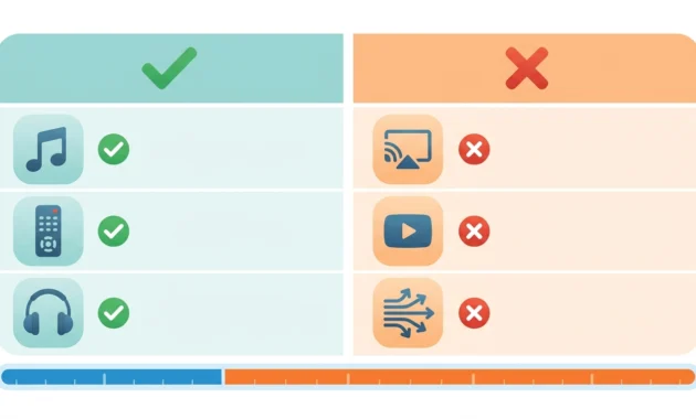 Infographic comparing what Bluetooth can do on a TV, like audio and remote use, versus screen mirroring it cannot do